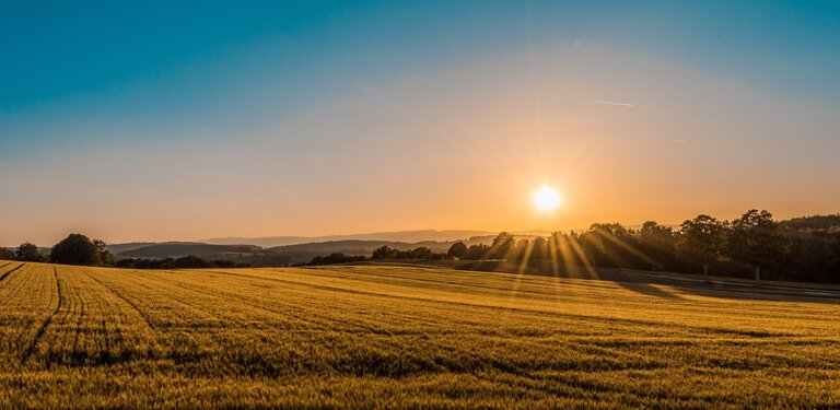 Regionen Background Image