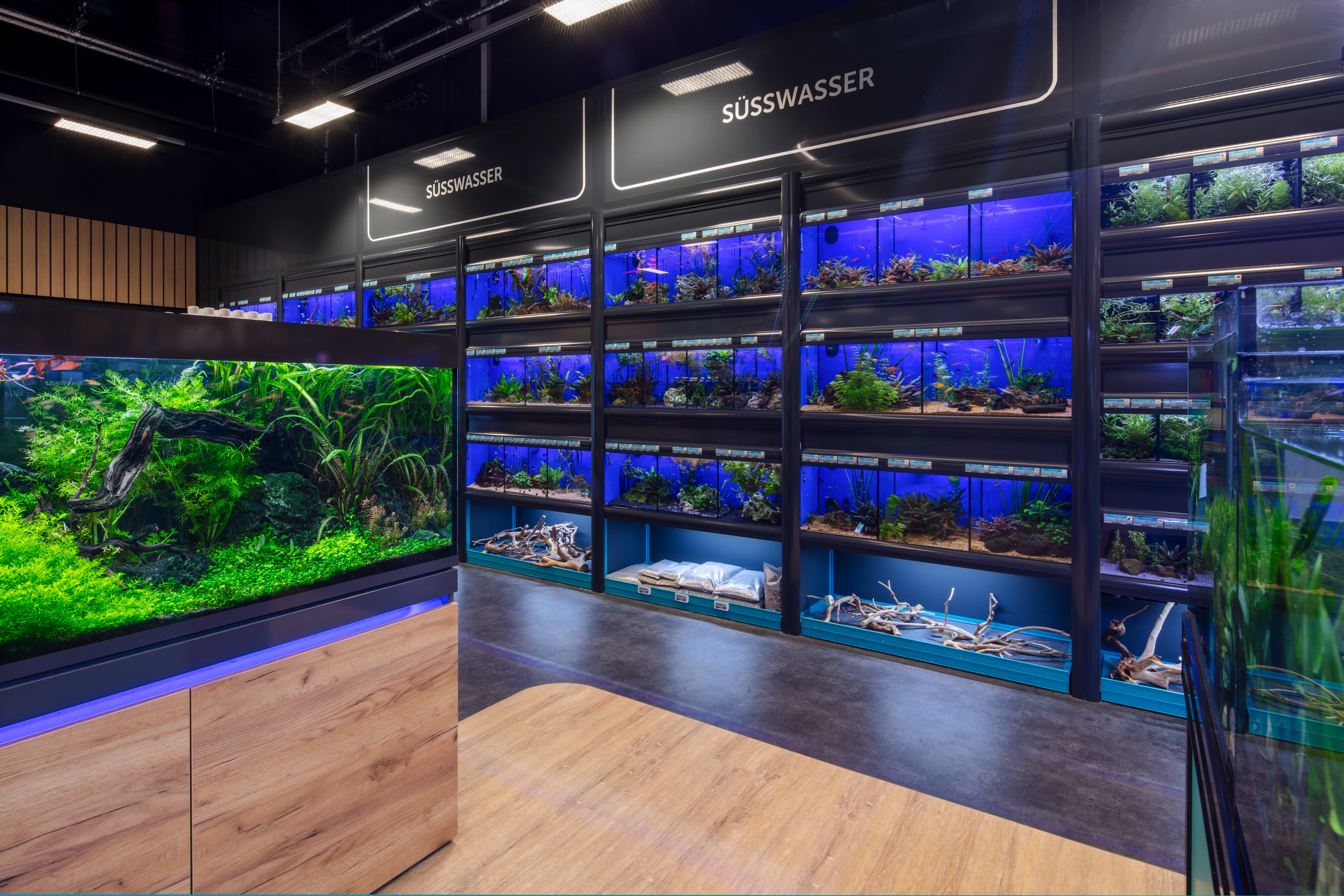 Aquaristik-Abteilung mit vielen SÃ¼Ãwasser-Aquarien im ZooRoyal-Markt