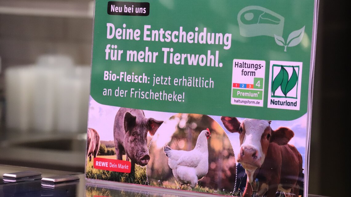 REWE gibt es jetzt auch in Ludwigsfelde | REWE Presse