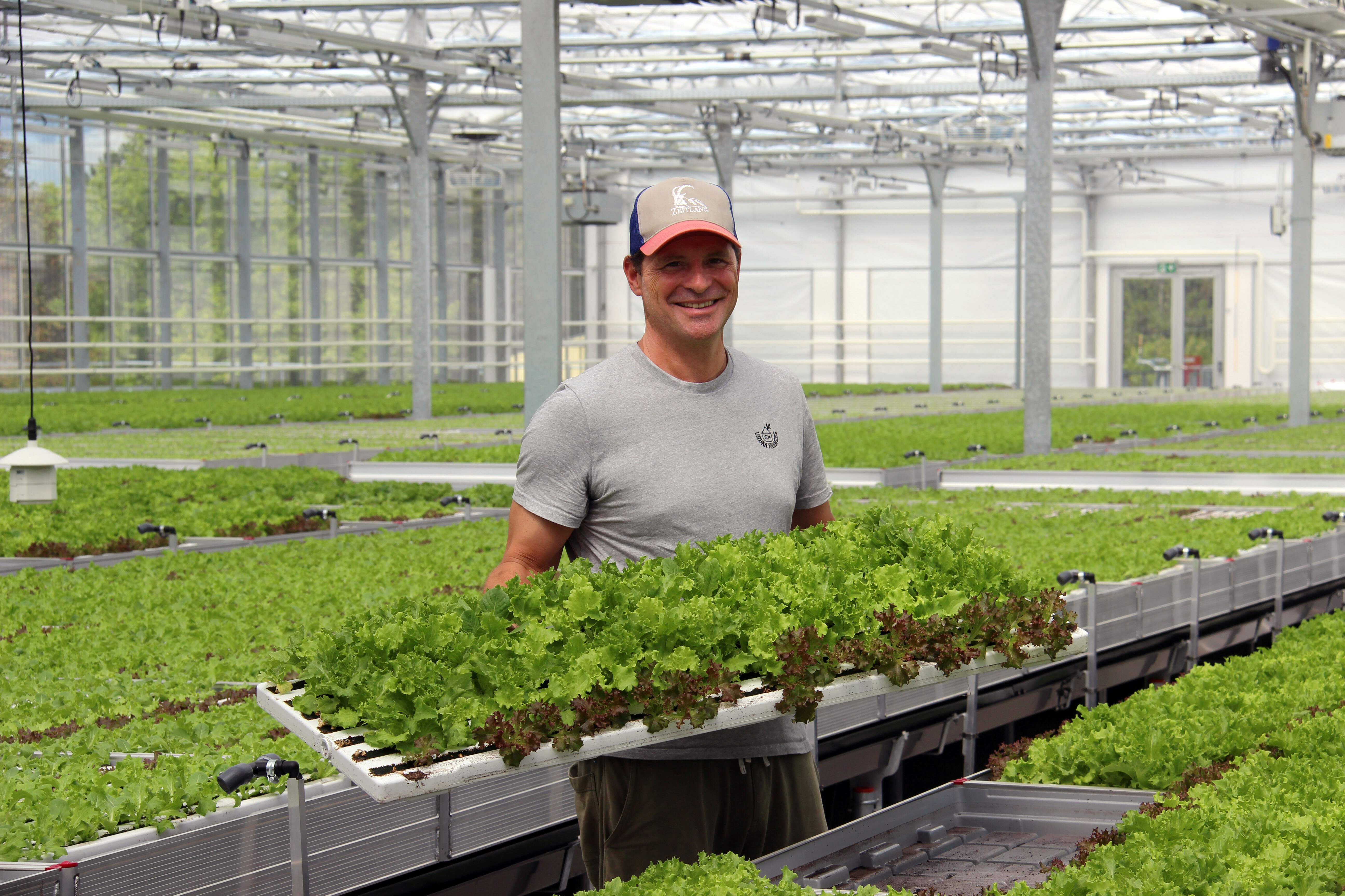 Nicolas Leschke, Gründer und CEO von ECF Farmsystems, steht in der Salatfarm