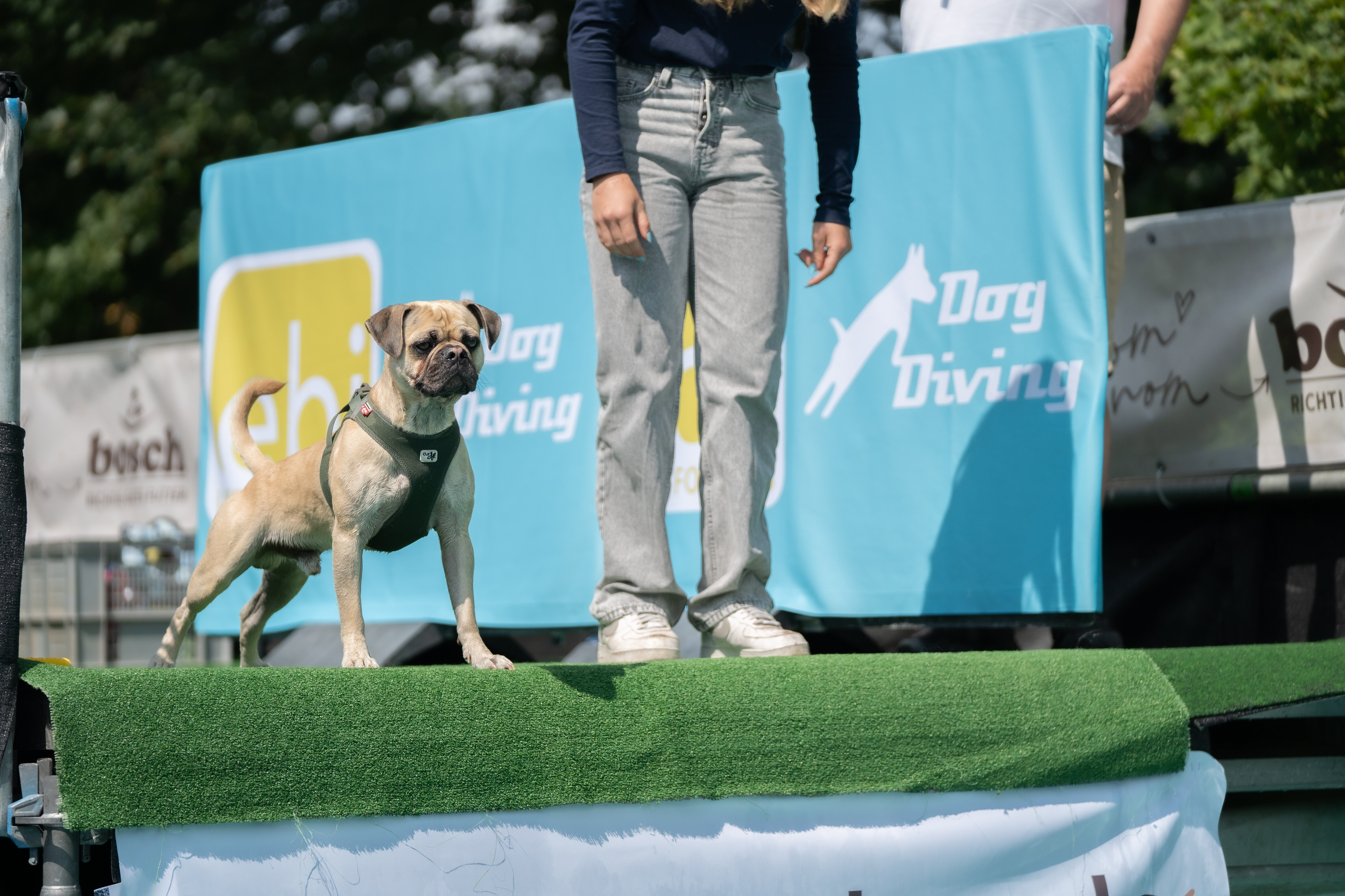 Hund steht mit Frau vor Beckenrand